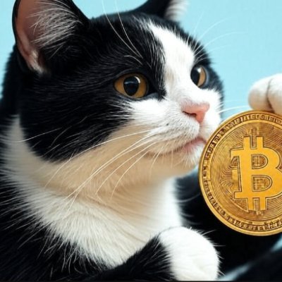 samu3jutianzhi's profile picture. 