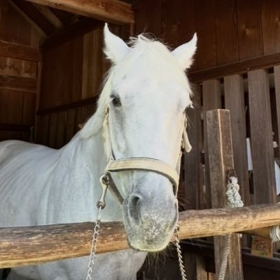 zxJbf0Vj3s57703's profile picture. ｜普通の会社員🏢（異動or転職希望）｜なけなしのお金の置き場所＆活用を耕作中🌱｜楽天経済圏｜氷河期世代🧊｜趣味: 年3回の海外旅行✈️ ・遠征を含むLIVE参戦＆推し活🪩✨（グッズは一切買わない）←いつか卒業したい｜情報収集専用＆記録用アカウント ※無言フォロー失礼します＆勧誘・宣伝スルーします