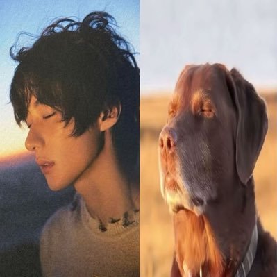 tueiem's profile picture. anton girly branding sohee