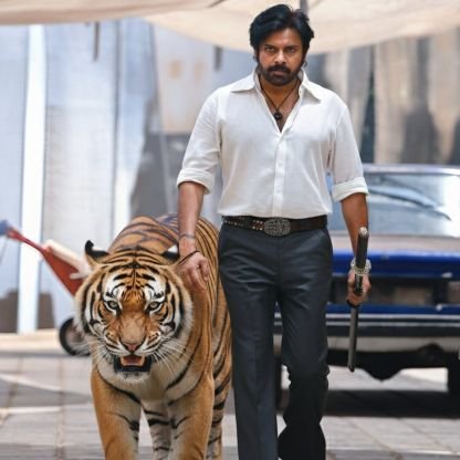 GagguturuSharif's profile picture. AP Deputy CM @PawanKalyan గారి తాలూకా❤️  || Chiru || Kalyan || Charan ||