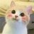ZSO_July's profile image