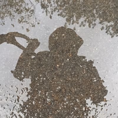 koga1420's profile picture. 