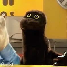 tomtomfuzz_'s profile picture. licenciatura en hater

@tomson_olson @wa_l_fer