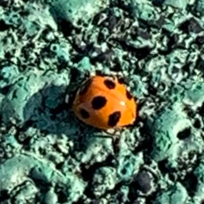 iImQNANxRZ96904's profile picture. 