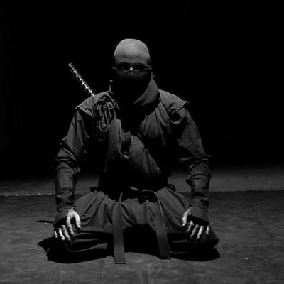 ninjainpyjs's profile picture. Jack of all trades