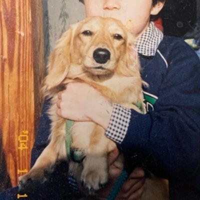 osg_junue's profile picture. C#が好きなエンジニア