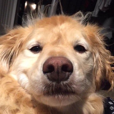 xiansle's profile picture. 