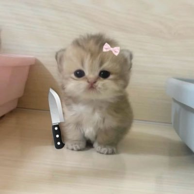 eauvuex's profile picture. 