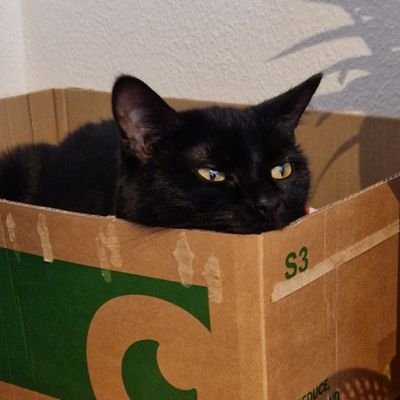 RichardThu50146's profile picture. 