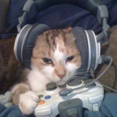 yklucxs's profile picture. AKA G3KRBLX