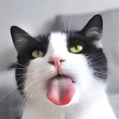 kinetikorbital's profile picture. 