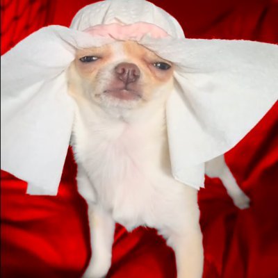 iTz_Crem's profile picture. 🇮🇹 Provo a essere un average content creator.

https://t.co/TDaJXP7TsC