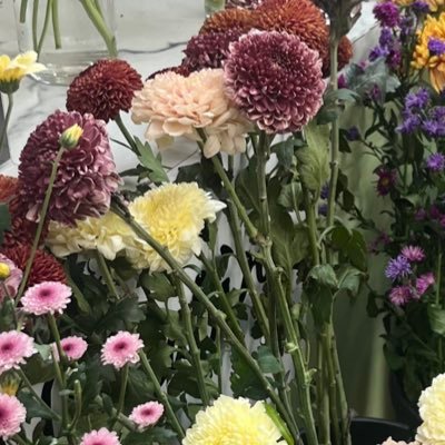 rzknbl___'s profile picture. slow dance these summer nights