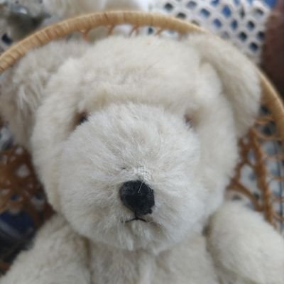 Ochotona19's profile picture. 妄想と虚言