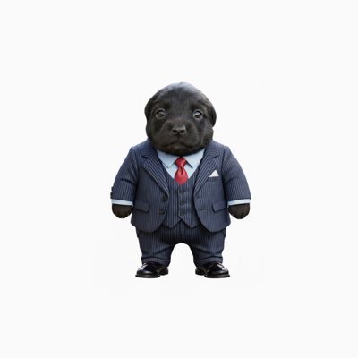 onchainniga's profile picture. @67fnf