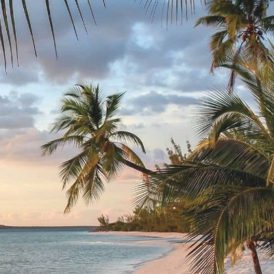 karam_AboRaslan's profile picture. 