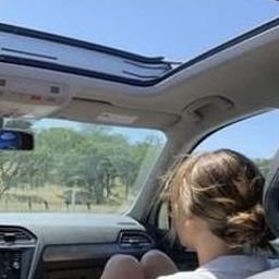 Vwaxu13549's profile picture. 