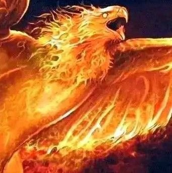 TadesseBog18669's profile picture. 