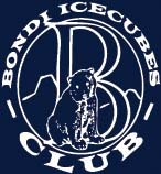 bondiicecubes's profile picture. The World Famous 'Junior' Winter Swimming Club - The Bondi Icecubes creating cold water champions since 1985 - Followers MUST have an association with this club