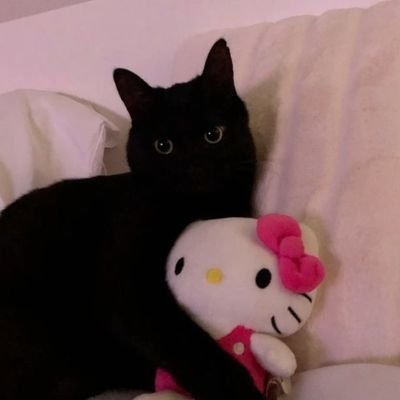 wwqwwqwwqx's profile picture. ᓚ/ᐠ꜆-˕-꜀ᐟ\
♡ ɴᴀʀᴀɴᴠɪᴋ