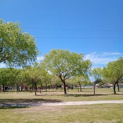 agusdel97's profile picture. ♟️Último torneo profesional, 21.11.25 (puesto 12) | 28, 🇦🇷, CAA 💙