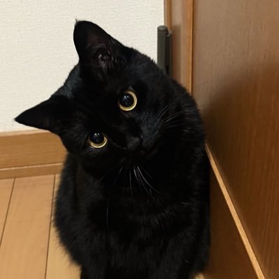 nonameonlyblue's profile picture. 