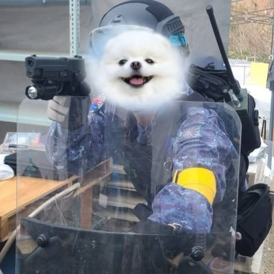 kaijiojisan's profile picture. I'm a Japanese airsoft gamer. I play with the equipment of the Japan Maritime Self-Defense Force. My favorite guns are the Type 89 rifle and the SIG P226.