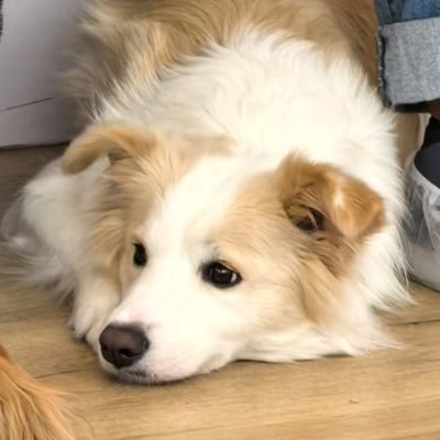 Airyhyun056's profile picture. 