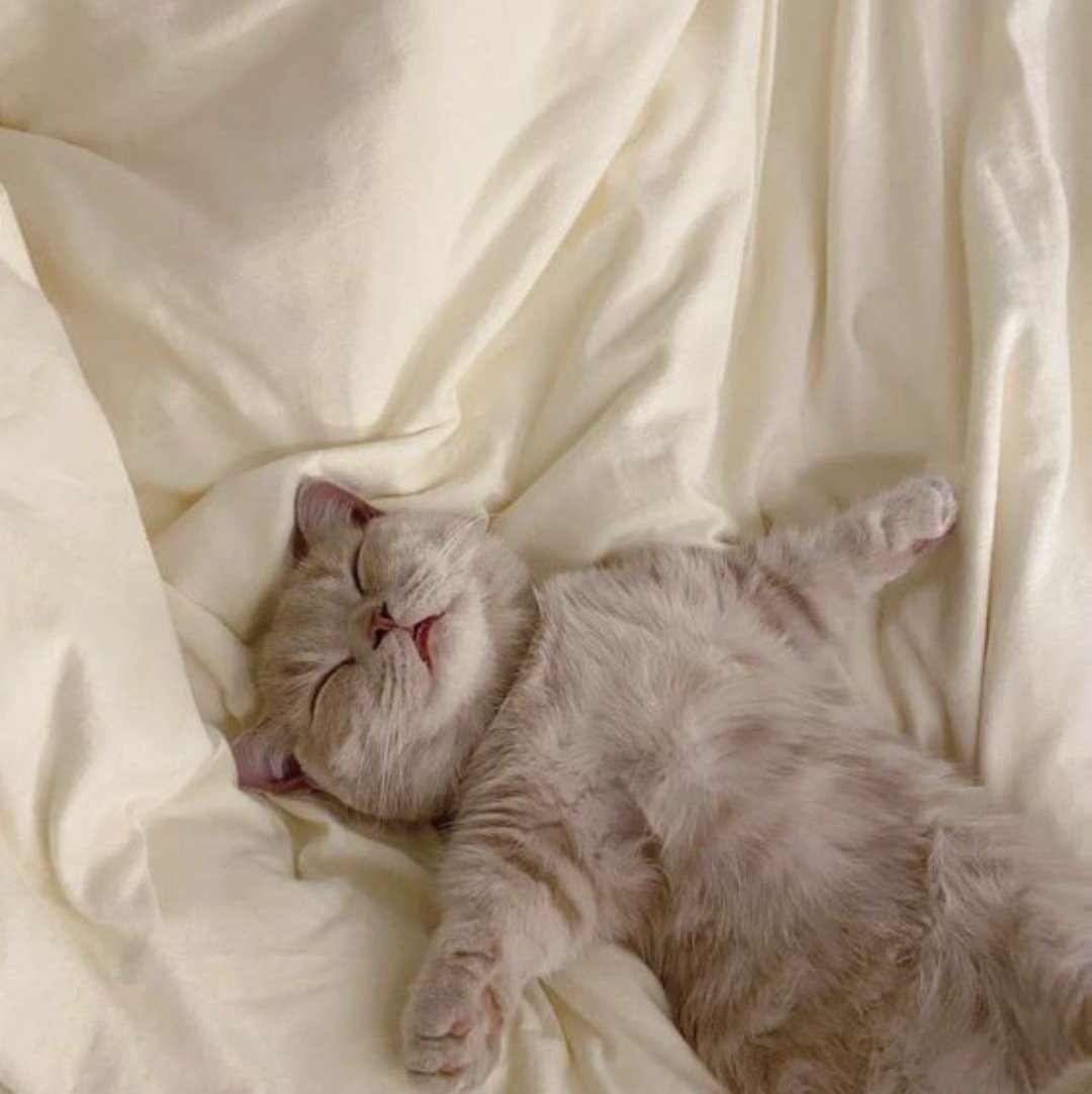 nanasey1999's profile picture. 