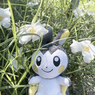 _miukich1's profile picture. 𝟢𝟣🌱 ┊︎ 𝘗𝘰𝘬𝘦𝘮𝘰𝘯 𝘎𝘰 ┊ 𝘛𝘓𝟩𝟣 ┊︎ 𝘛𝘦𝘢𝘮 𝘝𝘢𝘭𝘰𝘳
