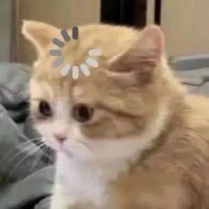 octosrky's profile picture. ᴏʀᴍᴋᴏʀɴɴᴀᴘʜᴀᴛ | ʟɪɴɢʟɪɴɢᴋᴡᴏɴɢ | ᴛᴋᴘʜɪɴʏᴀɴᴇᴄʜ | ʟɪɴɢᴏʀᴍ | ᴛᴋɴᴜʀ |@ormmormm |ไข่เจียวของออมเล็ต