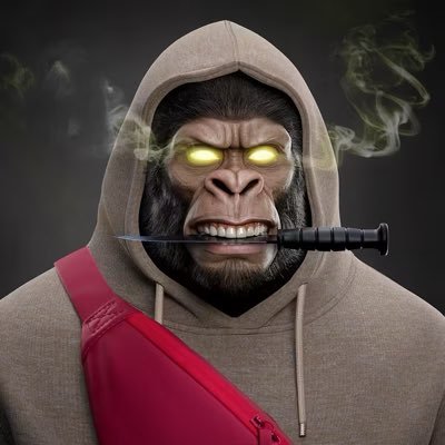CyrusAbrahimX's profile picture. Building @SupremeKongNFT. Marketing brands and scaling communities. Gem Hunter @1789Capital 💎 @defidotapp 🎩