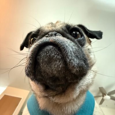 Nanderson91's profile picture. Seattle Mariners fanatic. My life is just one big Seinfeld reference.