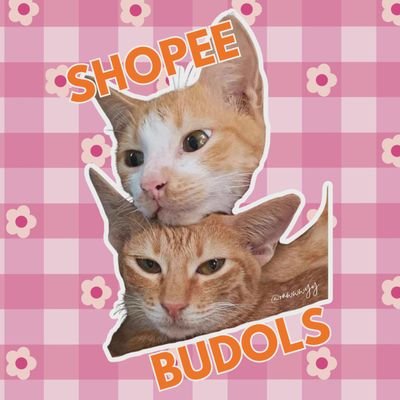 rawwwyy's profile picture. shopee budols; cat/dog essentials, kpop merch and many more! check-out na!