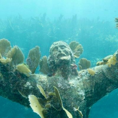 SailsandFins's profile picture. Scuba Diving, Sailing, and all things Florida Keys Virgin Islands, and Dive Travel