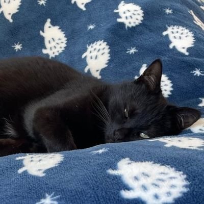 aky20575553's profile picture. 