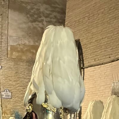 Cofradedeg77000's profile picture. Un buen cofrade de la ciudad de la Alhambra.