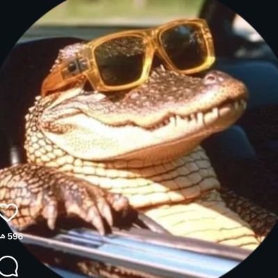 KAMRANMORADI_1's profile picture. حرف هاتون قشنگه ! ولی به حرف نیست ؛