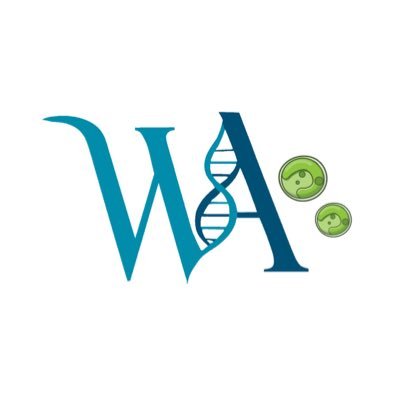 Lion_Wida's profile picture. Scientist - Marine Microbial Biotechnologist - Quran- Artist & ocean lover - PhD - Sustainability activist - INFJ- personal account