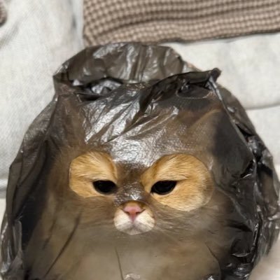 amm23555's profile picture. @panlyyy @loverrukk mimiv มินิฮาร์ทของเลิฟ MilkLove มิ้ลค์เลิฟ♡⃛ INFP