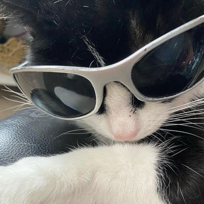 trashaay_pr's profile picture. 🐻🤍