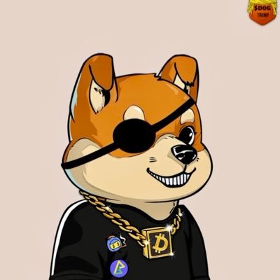 RSGOgreatAgain's profile picture.