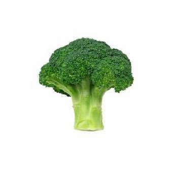 bro_coil's profile picture. 
