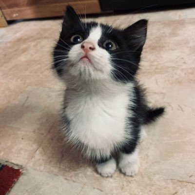 heysoos12321's profile picture. 18 val