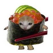 haraguchitachi's profile picture. 