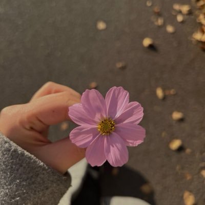 Maheenzaara's profile picture. Plan for this life as if you would live forever and at the same time plan for the hereafter as if you would die tomorrow! & I BAKE 👩🏻‍🍳