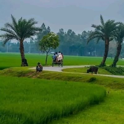 JOKHAN_DUA's profile picture. बेरोज़गारी से जूझता भारत 
मजदूरों को निर्वाह मजदूरी क्यों नहीं देते लोग न्यूनतम मजदूरी क्यों?