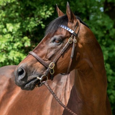 PadokAyk's profile picture. Uzman tavsiyelerine buradan ulaşabilirsiniz