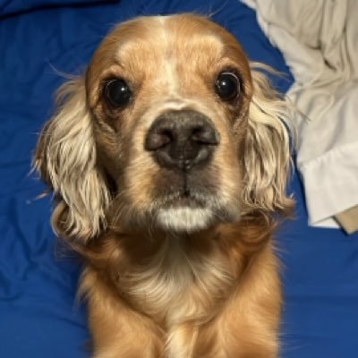 Krzysztian1's profile picture. 