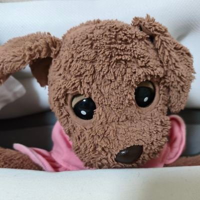 AoiKoara0907's profile picture. 